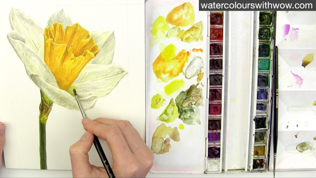 Painting with yellow in watercolour