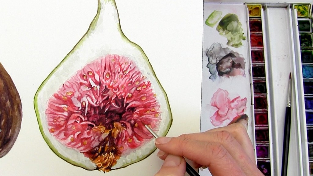 How to paint the inside of a juicy fig