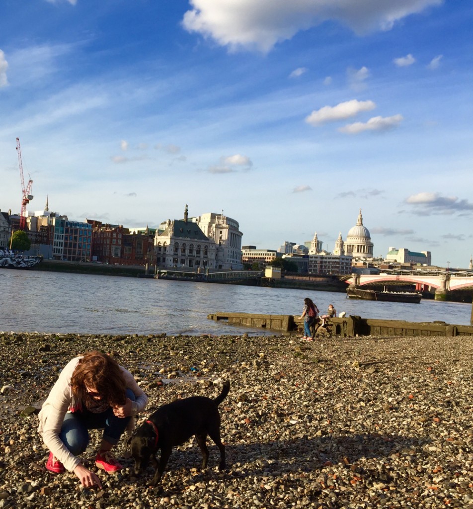 My 'treasure' hunt on the beach of the Thames in central London - aided by Dexter the dog.